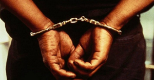 arrest 11 nov 17